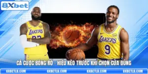 Cá Cược Bóng Rổ - Hiểu Kèo Trước Khi Chọn Cửa Đúng