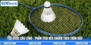 Cá Cược Cầu Lông - Phân Tích Kèo Chuẩn Theo Trận Đấu