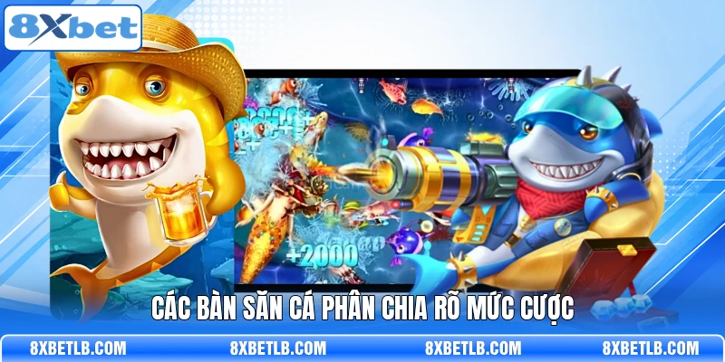 Các bàn săn cá phân chia rõ mức cược