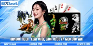 Dragon Tiger - Luật Chơi, Cách Cược Và Mẹo Đọc Ván