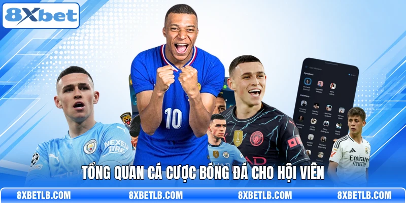 Tổng quan cá cược bóng đá cho hội viên
