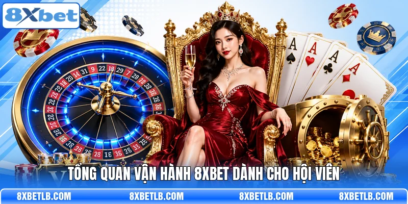 Tổng quan vận hành 8XBET dành cho hội viên